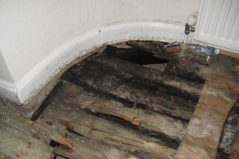 What does wet rot look like - Weakend Floorboards